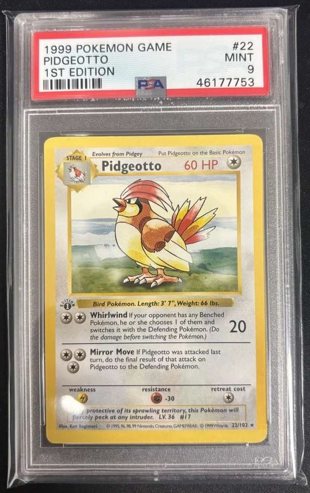 PIDGEOTTO