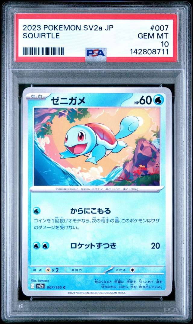 Squirtle