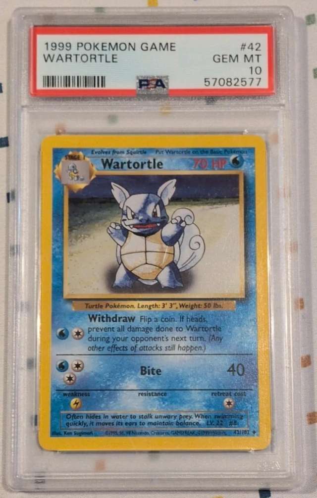 WARTORTLE