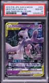 Mewtwo & Mew Gx