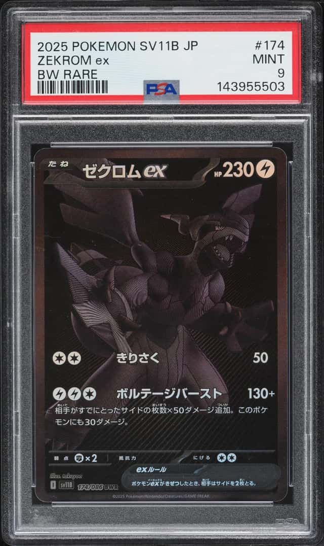 ZEKROM ex