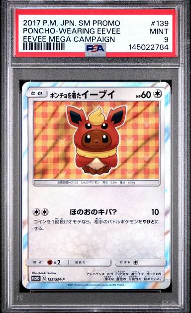 Poncho-Wearing Eevee
