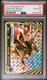 Zoroark Break