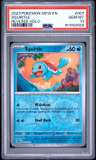 Squirtle