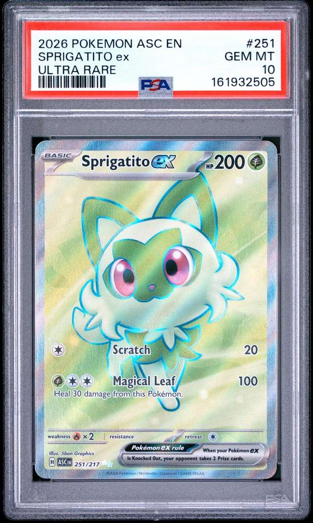 SPRIGATITO ex