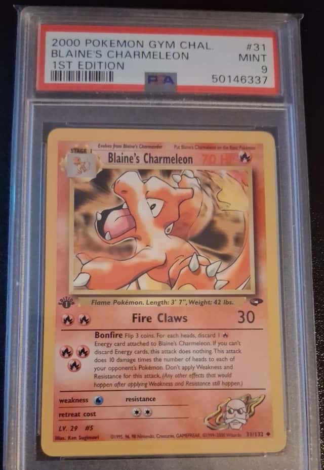Blaine's Charmeleon