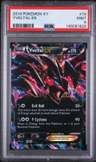 Yveltal Ex