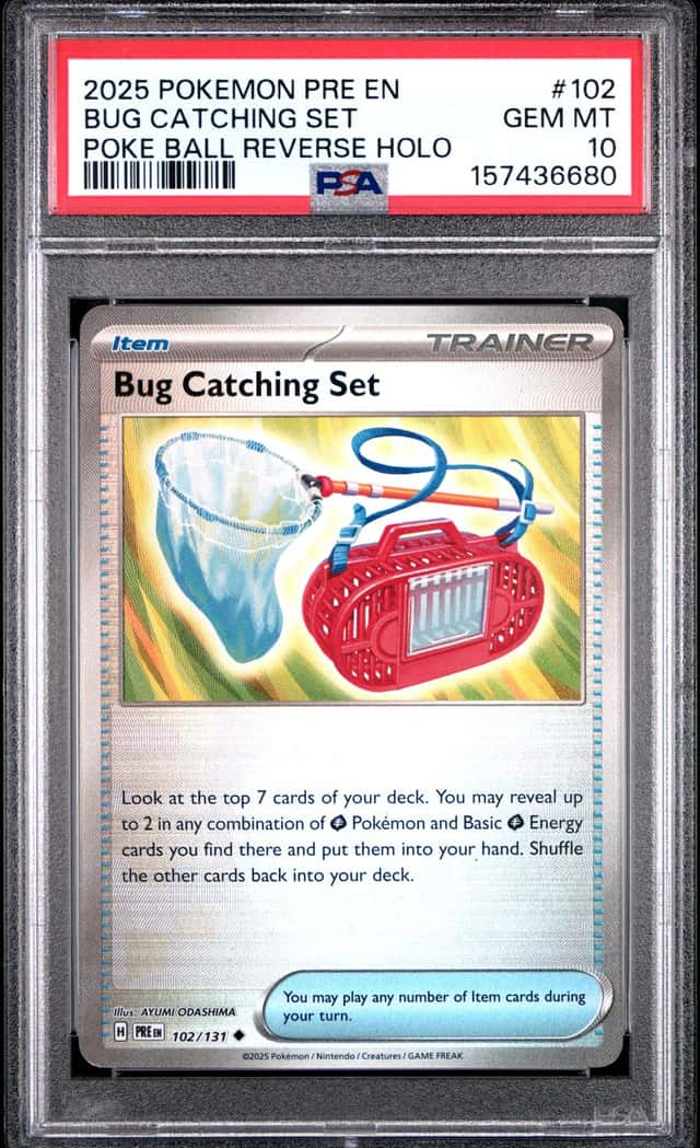 Bug Catching Set