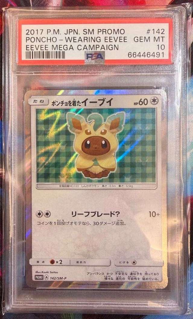 Poncho-Wearing Eevee