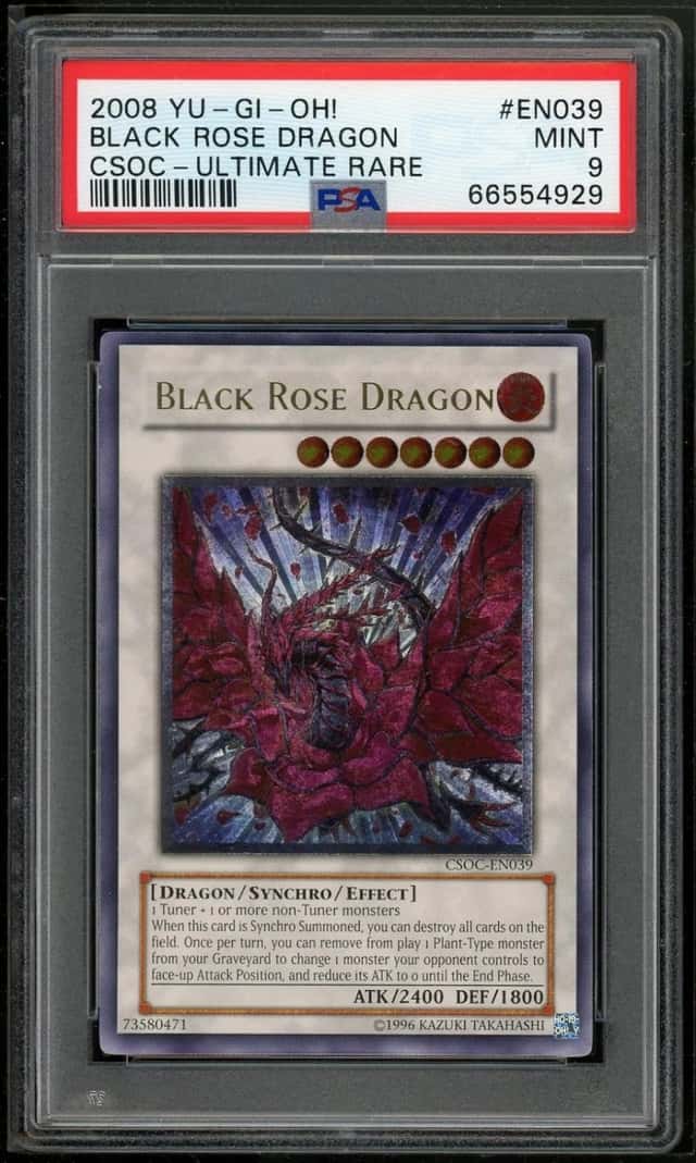 Black Rose Dragon