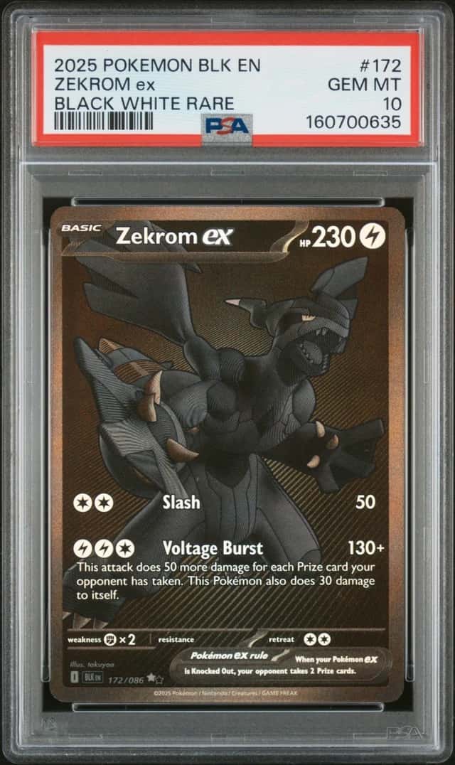 ZEKROM ex