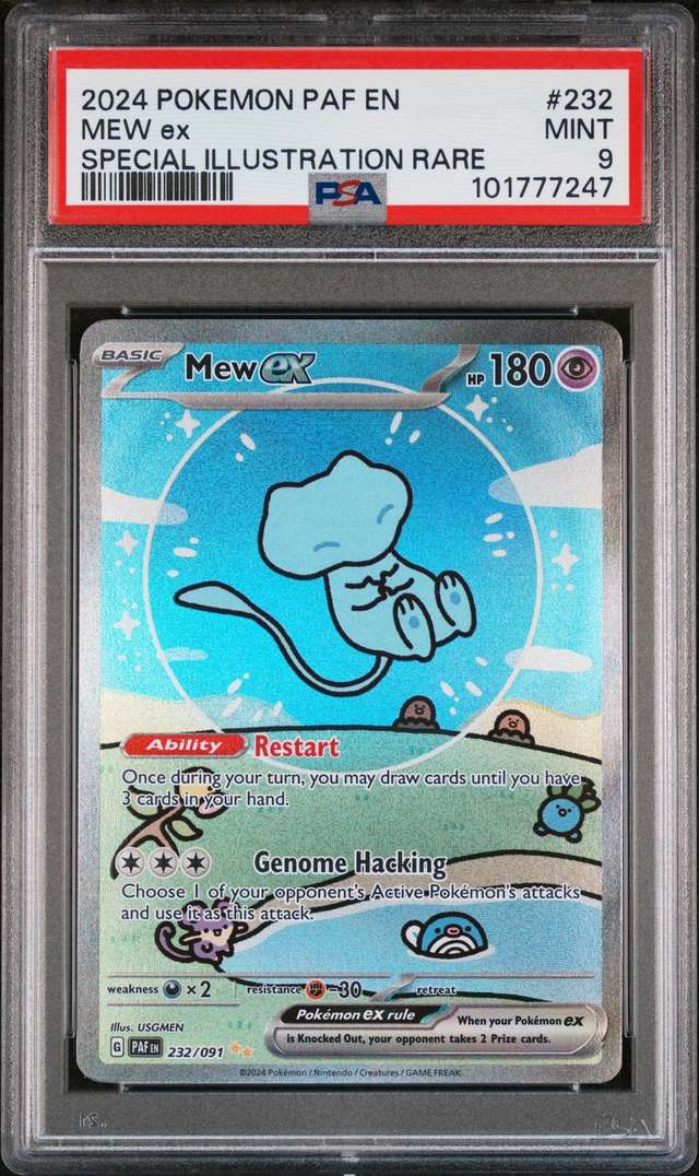 MEW ex