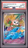 Rowlet