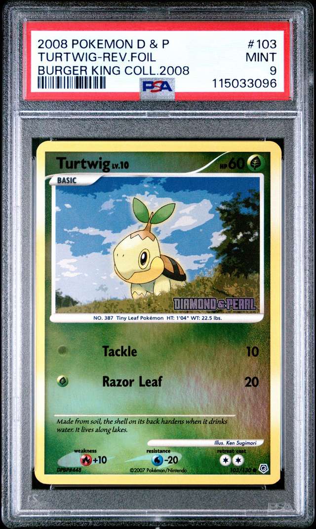 TURTWIG