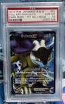 Raikou Ex