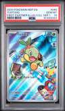 Turtwig