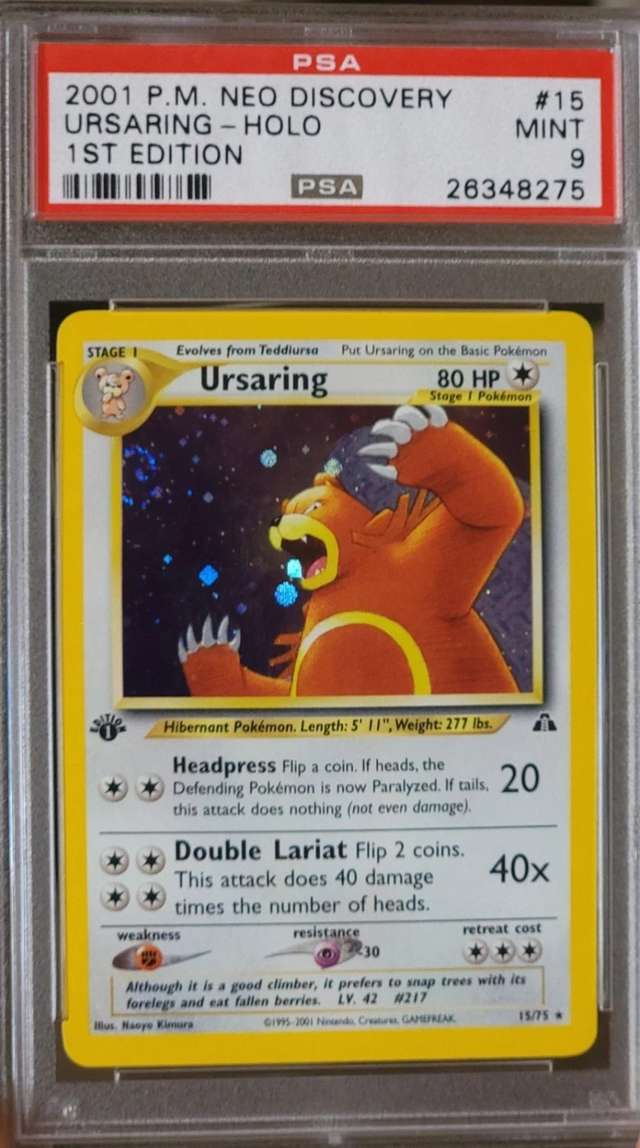 Ursaring