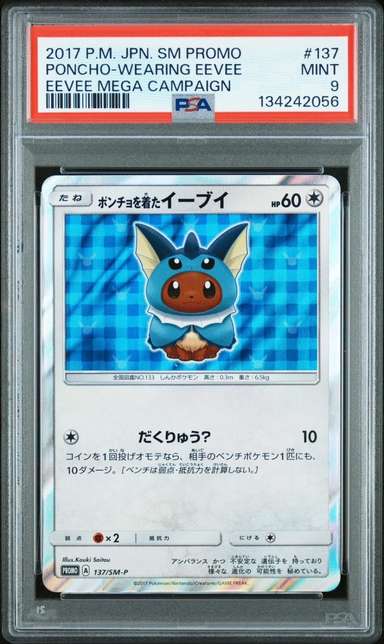 Poncho-wearing Eevee