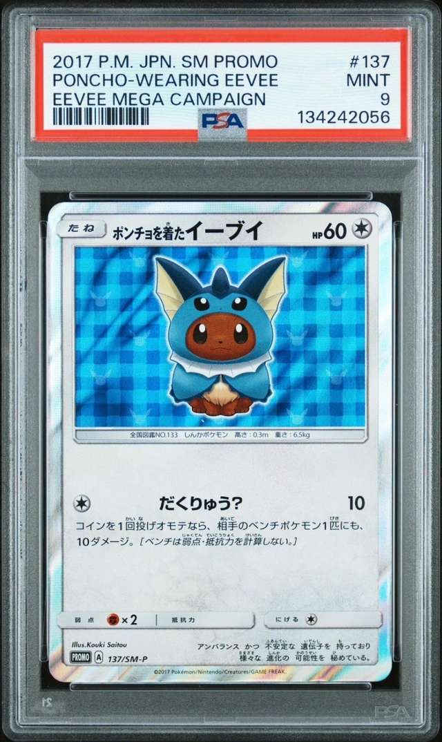Poncho-wearing Eevee