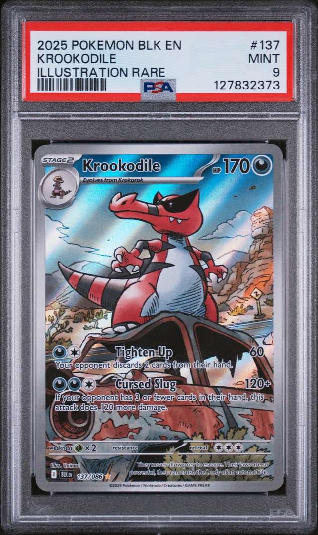 Krookodile