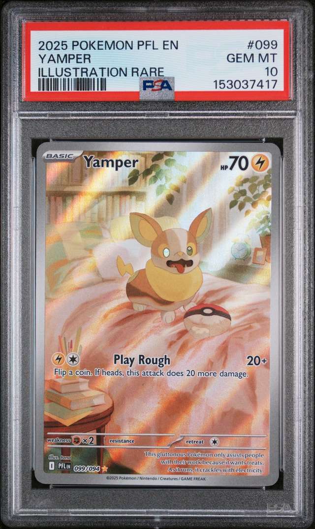 Yamper