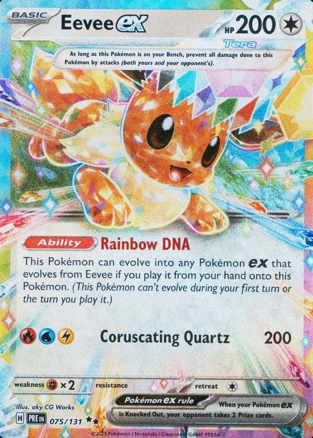 Holo