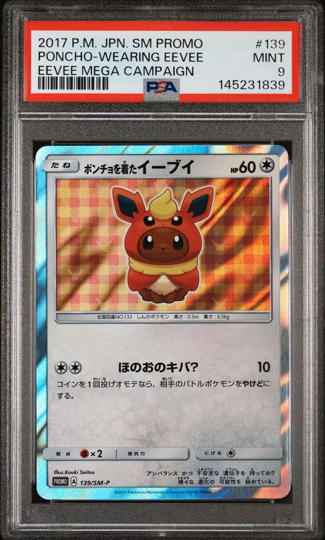 Poncho-Wearing Eevee