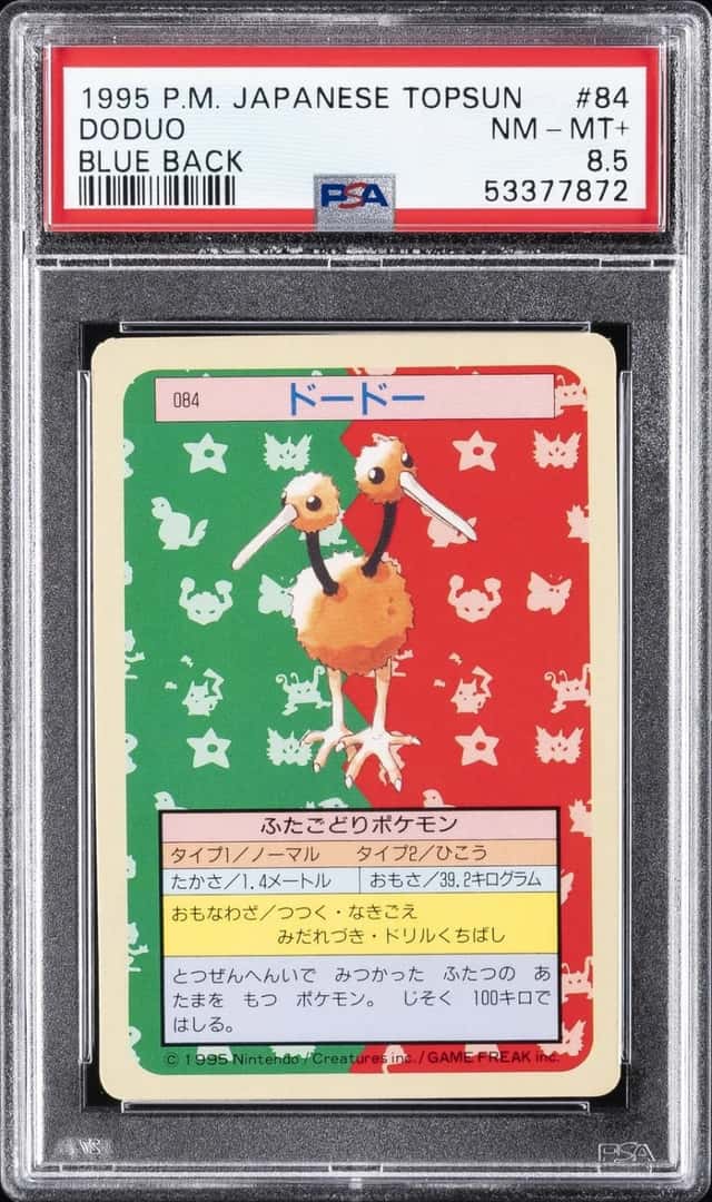 Doduo