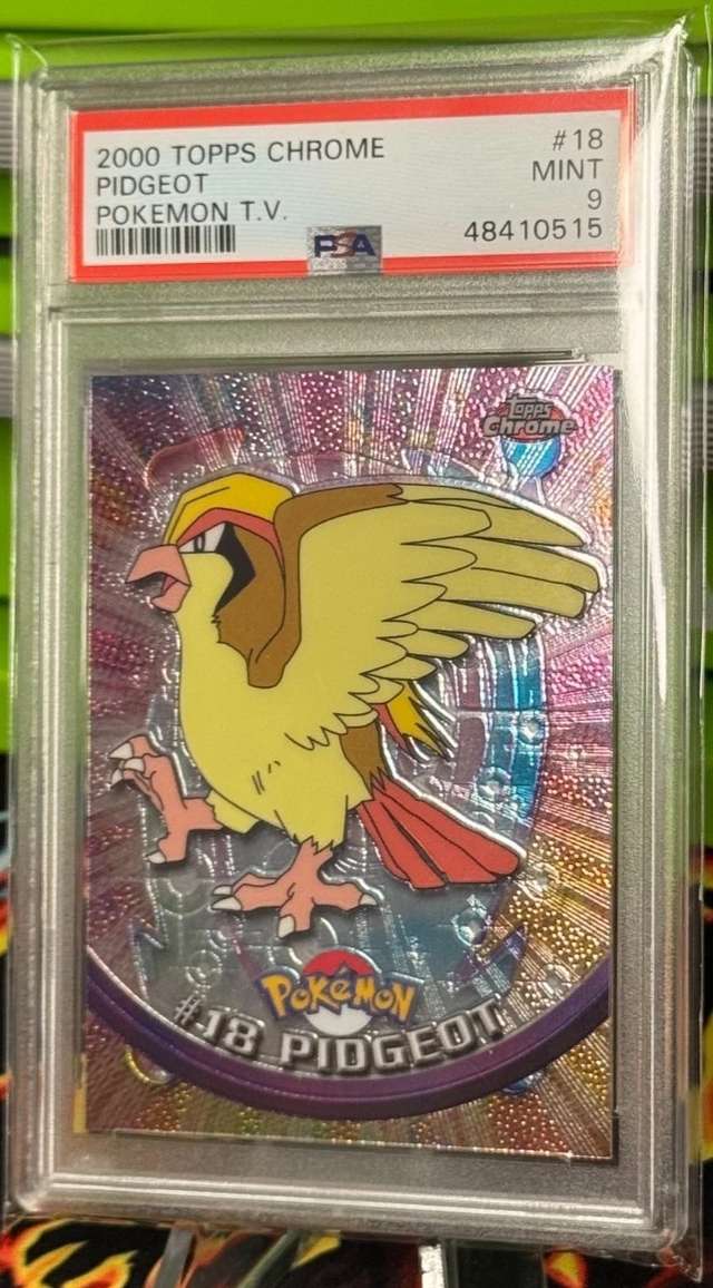 Pidgeot