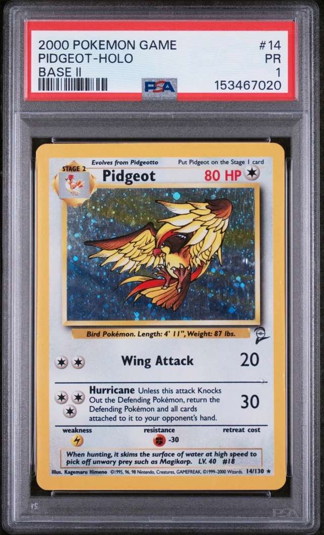 Pidgeot