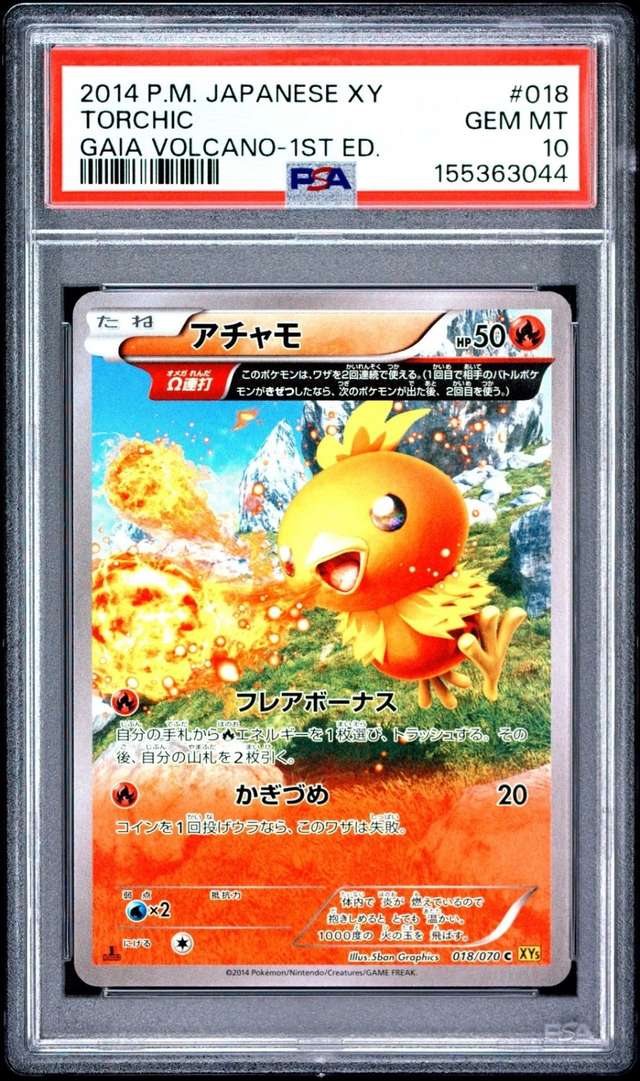 Torchic