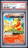 Torchic