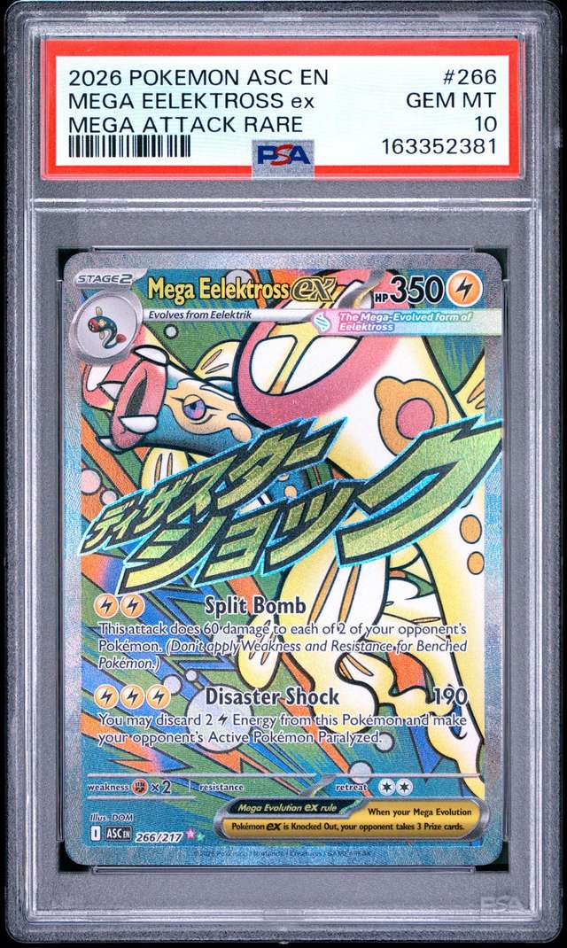 MEGA EELEKTROSS ex