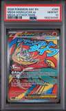 Mega Hawlucha Ex