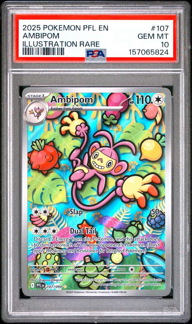 AMBIPOM