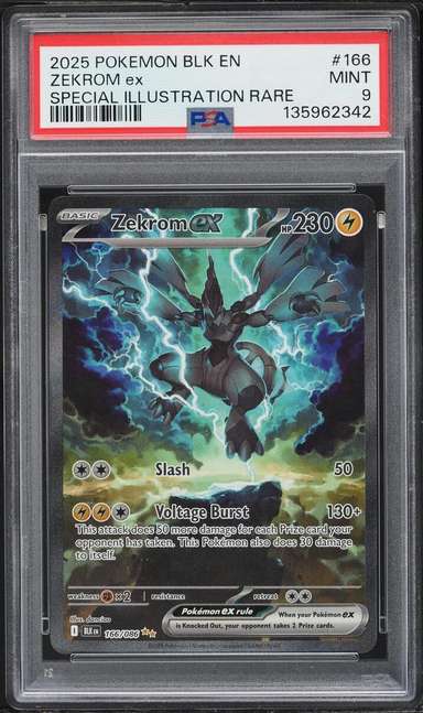 ZEKROM ex