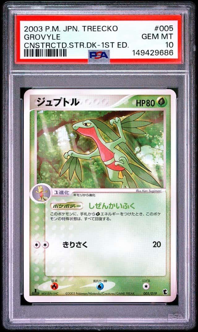GROVYLE