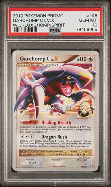 GARCHOMP C LV.X