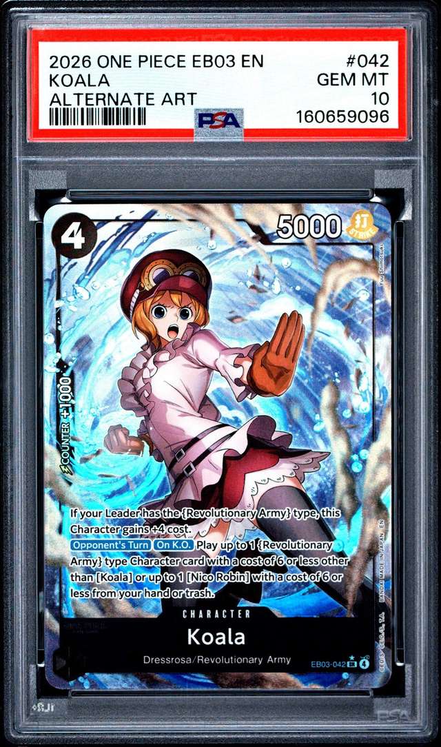 Koala