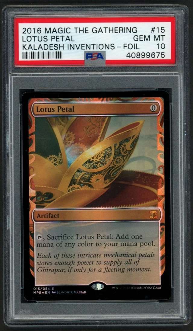 Lotus Petal M