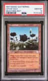 Lotus Vale