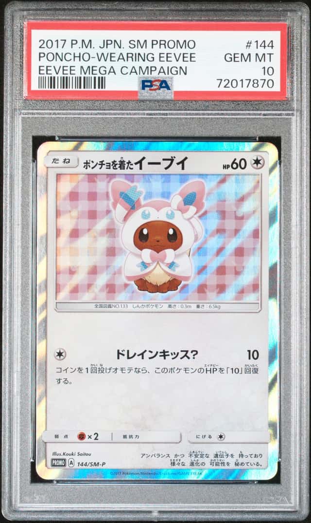 Poncho-Wearing Eevee