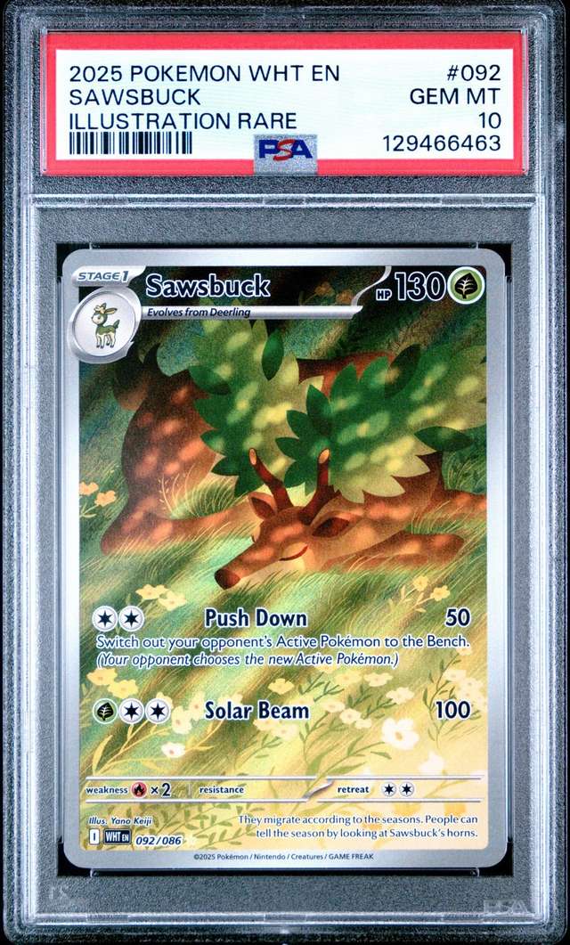 Sawsbuck