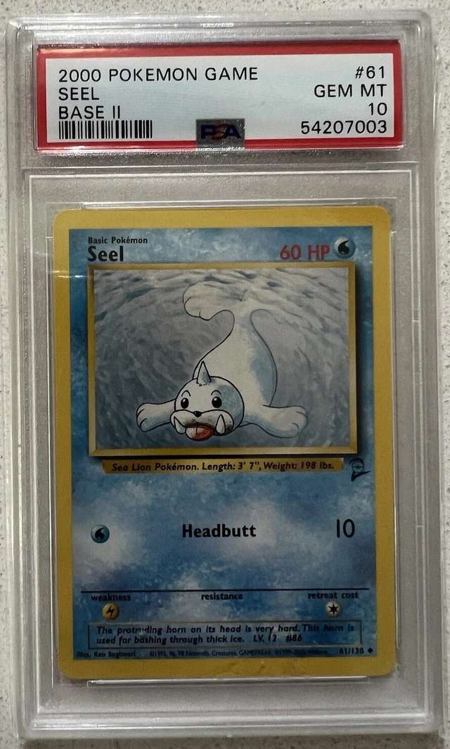 Seel