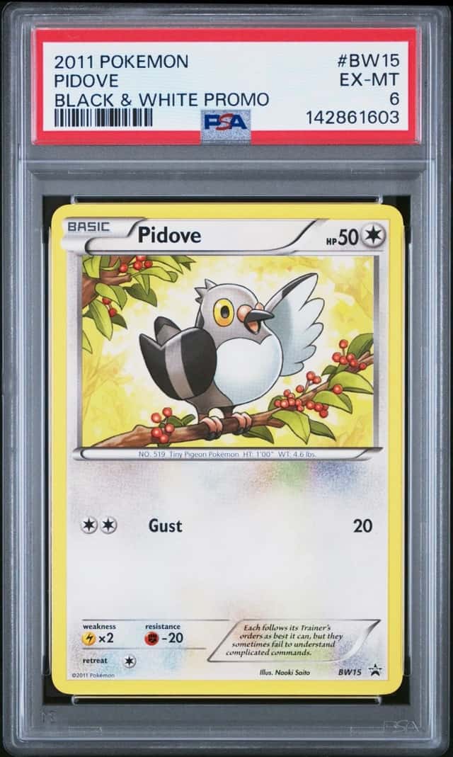 Pidove