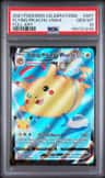 Flying Pikachu Vmax