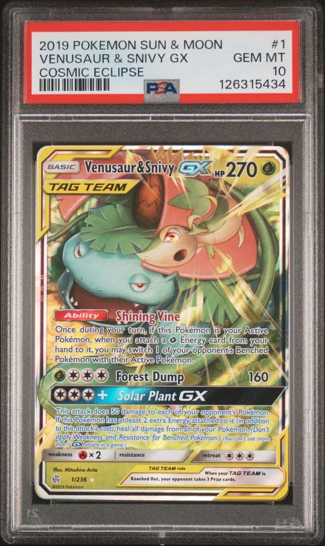Venusaur & Snivy GX