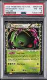 Meganium