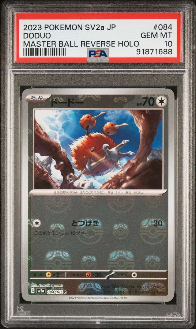 Doduo