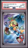 Turtwig